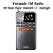Портативне FM-радіо Rolton T1 кишеньковий Bluetooth 5.0 динамік, TF-карта для відтворення музики.