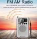 Портативне мінірадіо Retess TR106 AM/FM, кишенькове радіо, живлення від батарейок, стереодинаміки, РК-дисплей, годинник